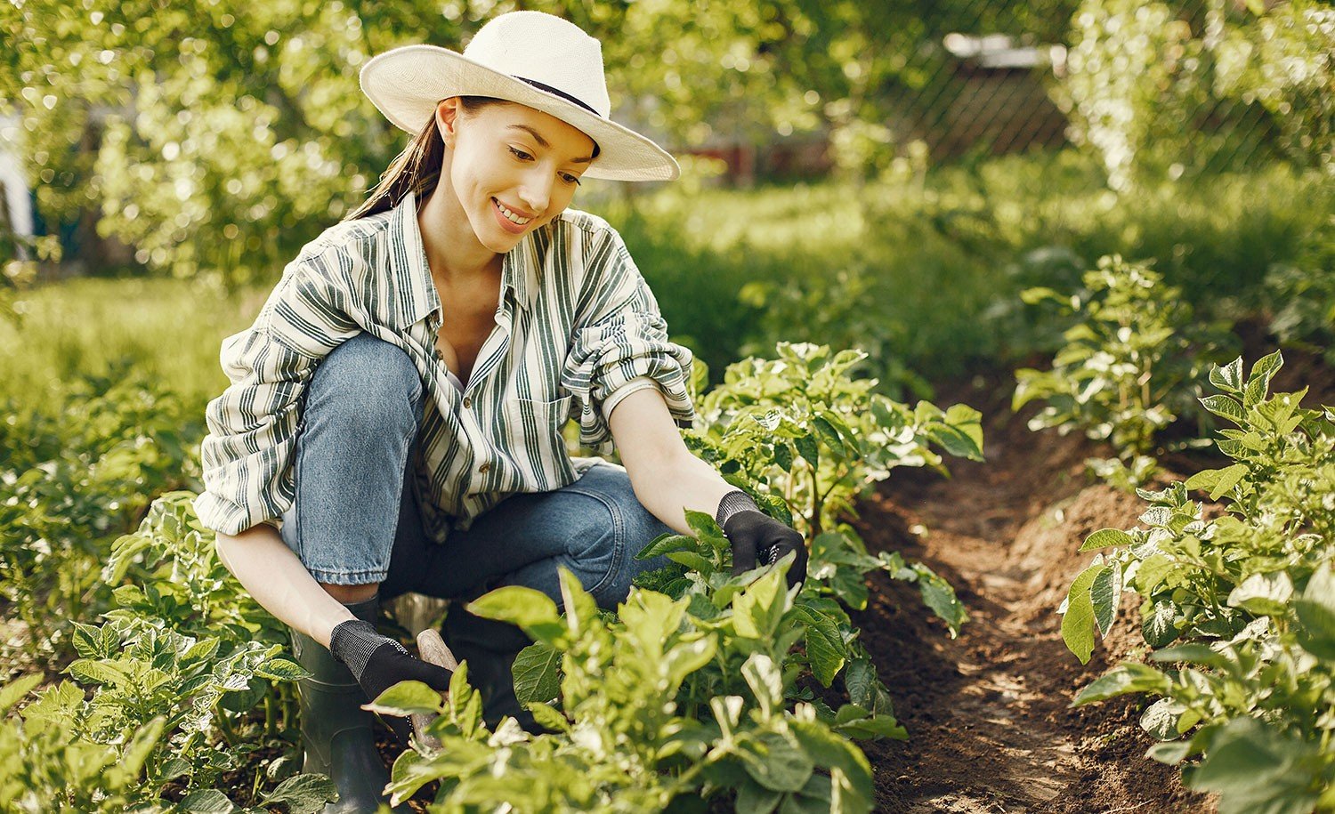 Why Gardening Is Becoming a Lifestyle, Not a Hobby